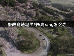 极限竞速：地平线高ping卡顿解决指南 实用优化方